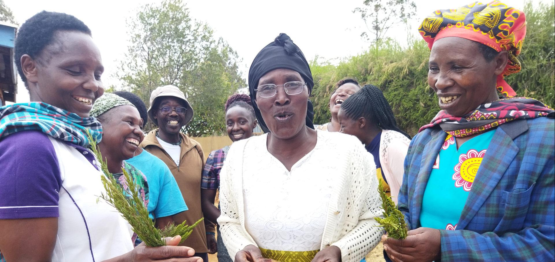 Ann Nyambura pflegt liebevoll ihre Kräuter